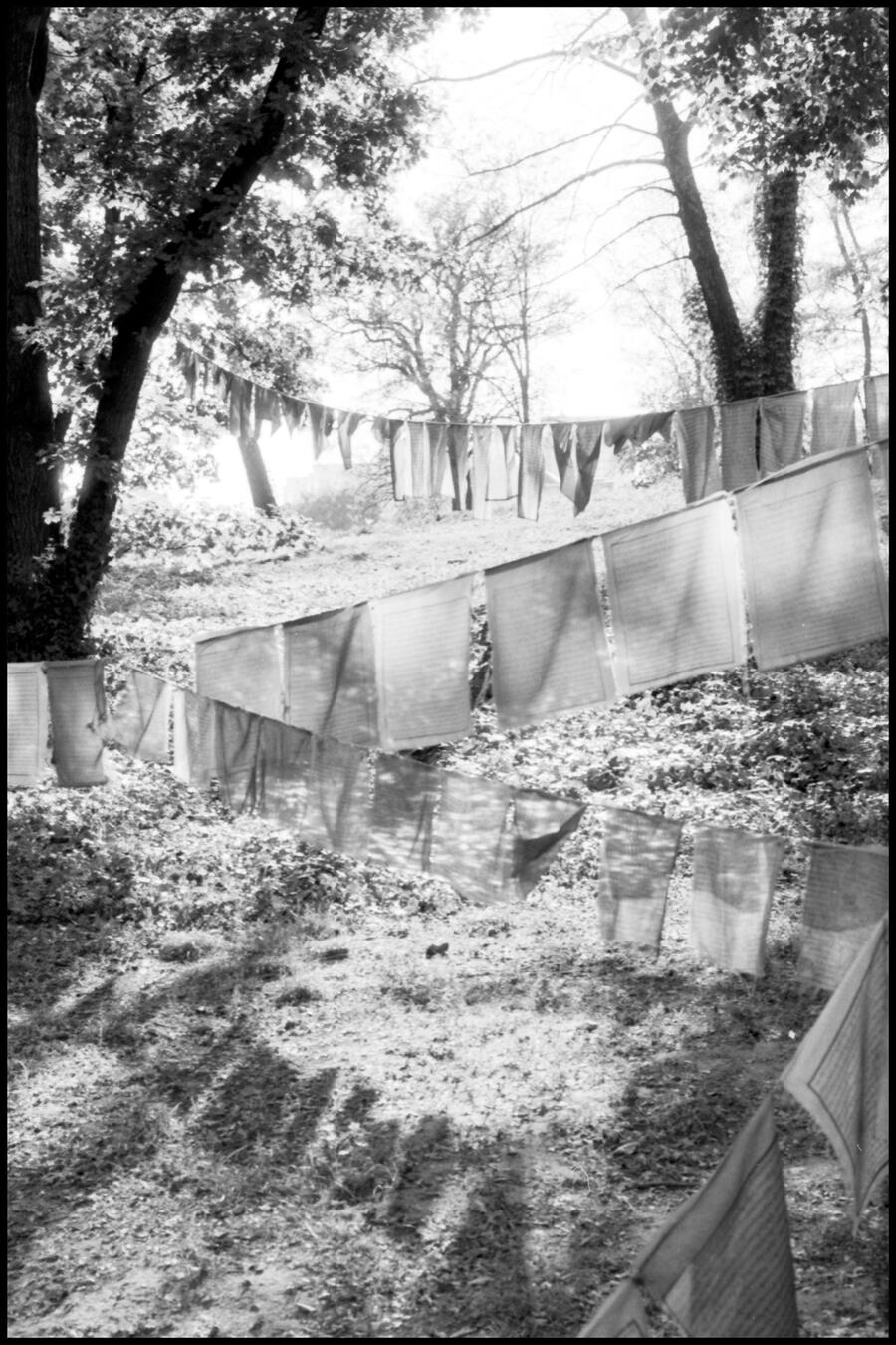 Oleksandr Navrotskyi: TE+RIS series, 2020; Image: bw photography - on a clothesline stretched between trees in a zigzag are hanging large cloths with many lines of text 
