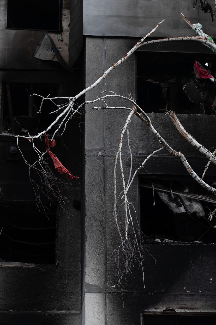 Mikhail Palinchak: Borodianka, 2022; Bild: Angebrochene Birkenäste vor einer ausgebrannten Betonfassade, am Ende eines Astes aht sich ein schmutziges rotes Tuch verfangen, Farbstimmung: dunkel, schwarz-grau dominiert