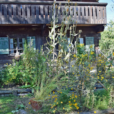 Garten mit Färbe- und Gespinstpflanzen